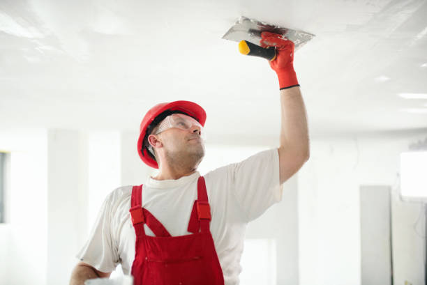 Best Drywall Installation  in Arthurdale, WV